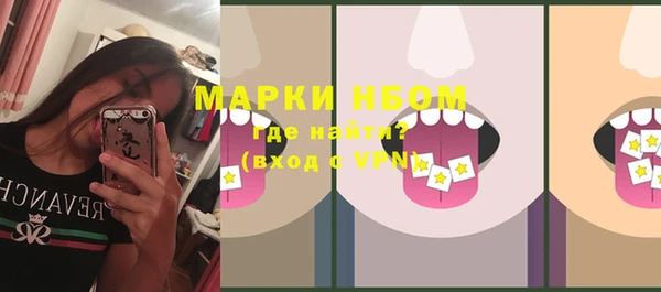 PSILOCYBIN Корсаков
