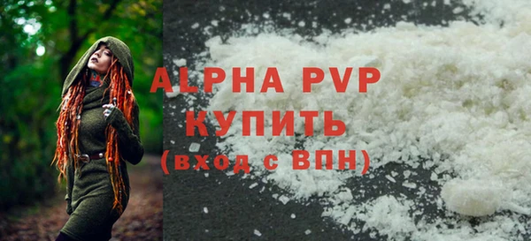 PSILOCYBIN Корсаков