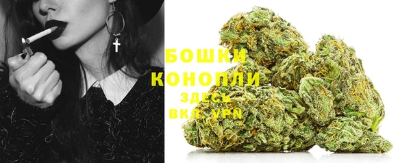 PSILOCYBIN Корсаков
