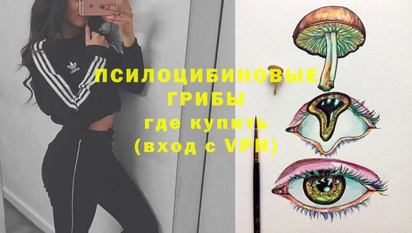 PSILOCYBIN Корсаков